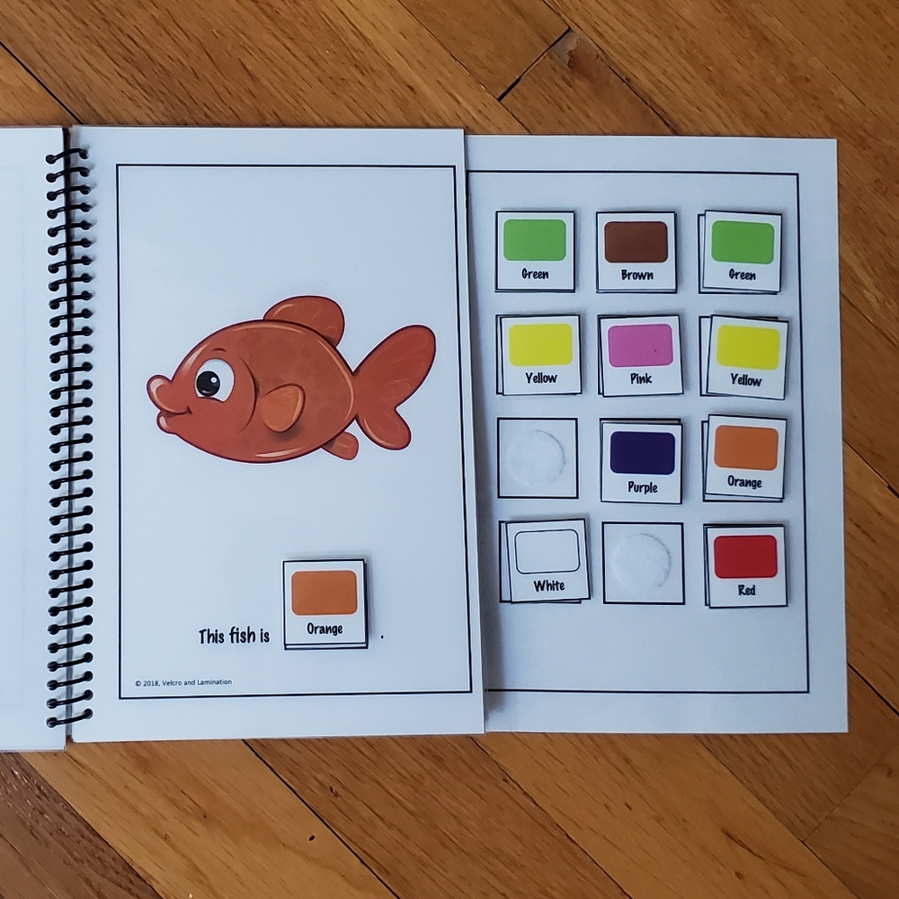 Adapted Colorful Fish Identification Book - Picture 3 of 4